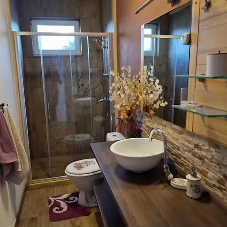 Apartment Zara Funtana